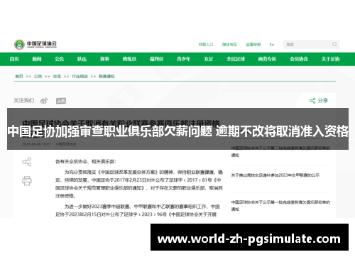 中国足协加强审查职业俱乐部欠薪问题 逾期不改将取消准入资格