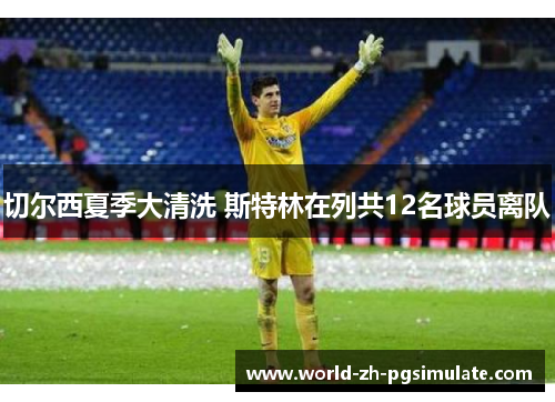 切尔西夏季大清洗 斯特林在列共12名球员离队